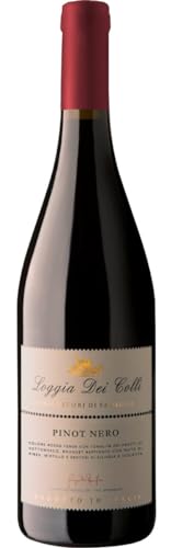 Vino Tinto Italiano Loggia Dei Colli Pinot Nero Venecia 750 ml