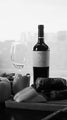Mariatinto 750 ml