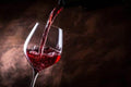 Vino Tinto Campo Viejo Gran Reserva Rioja 750 ml