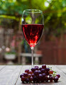 Vino Tinto Cabernet Sauvignon Alma Mora 750 ml