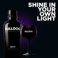 GINEBRA BULLDOG 750 ml