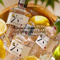 GINEBRA SUNTORY ROKU 700ML