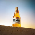 Cerveza Clara Modelo Especial tipo Pilsner 12 botellas de 355 ml, aroma a azahar y sabor a lúpulo fresco