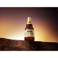 Cerveza Modelo Pura Malta 12 botellas de 355ml