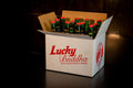 Cerveza Lucky Buddha, Cerveza Asiatica, Pack de 12 Botellas de Cerveza, Cerveza Estilo Lager, Cerveza Importada, Cerveza de 330 ml Cada Una, Cerveza De La Suerte