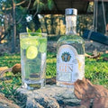 Ginebra PREMIUM Perro Desterrado London Dry