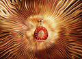 Cognac Rémy Martin XO 700 ml