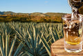 Tequila Jose Cuervo Reserva De La Familia Reposado 750 ml