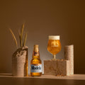 Cerveza Clara Modelo Especial tipo Pilsner 12 botellas de 355 ml, aroma a azahar y sabor a lúpulo fresco