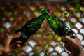 Cerveza Lucky Buddha, Cerveza Asiatica, Pack de 12 Botellas de Cerveza, Cerveza Estilo Lager, Cerveza Importada, Cerveza de 330 ml Cada Una, Cerveza De La Suerte