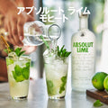 Absolut Lime Vodka 750 ML