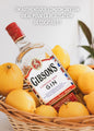 Ginebra Ginsons's Seco 700 ml