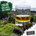 WHISKY WILLIAM LAWSON'S 700 ML, Mezcla de Malta y Grano, Equilibrado y Suave, Producto de la familia Bacardí