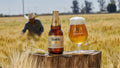 Cerveza Modelo Pura Malta 12 botellas de 355ml