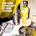 Absolut Citron Vodka 750 ML