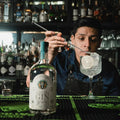Ginebra PREMIUM Perro Desterrado London Dry