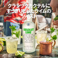 Absolut Lime Vodka 750 ML