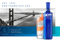 VODKA SKYY 750 ml