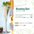 Liquor Premium Giffard Flor de Sauco 700ml