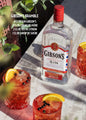 Ginebra Ginsons's Seco 700 ml