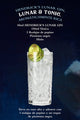 Ginebra Hendrick's Lunar Gin Limited Release 43.4% Vol. 0.75L - 750 ml