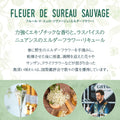 Liquor Premium Giffard Flor de Sauco 700ml